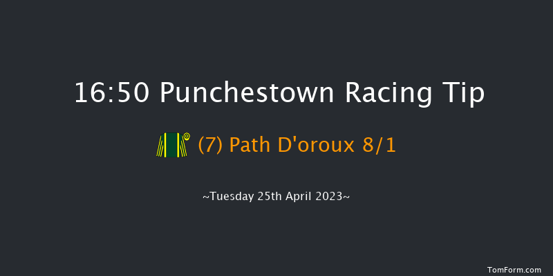 Punchestown 16:50 Handicap Hurdle 16f Wed 22nd Feb 2023