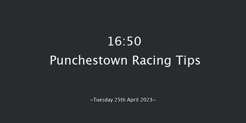 Punchestown 16:50 Handicap Hurdle 16f Wed 22nd Feb 2023