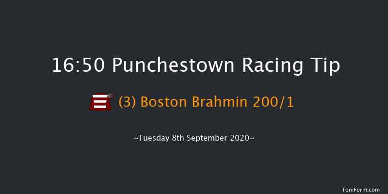 Swordlestown (C & G) Flat Race Punchestown 16:50 NH Flat Race 17f Thu 3rd Sep 2020