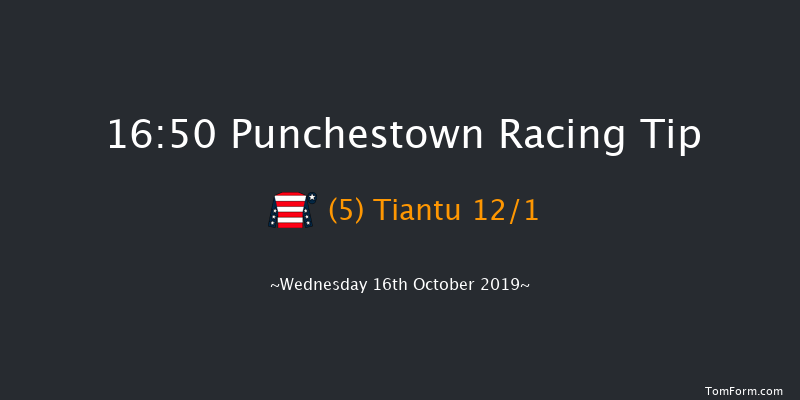 Punchestown 16:50 Handicap Chase 25f Tue 15th Oct 2019