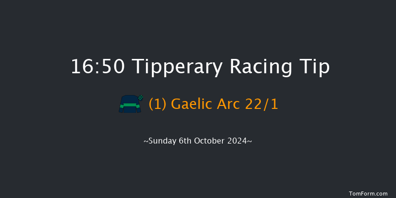Tipperary  16:50 Maiden Chase 20f Sun 1st Sep 2024