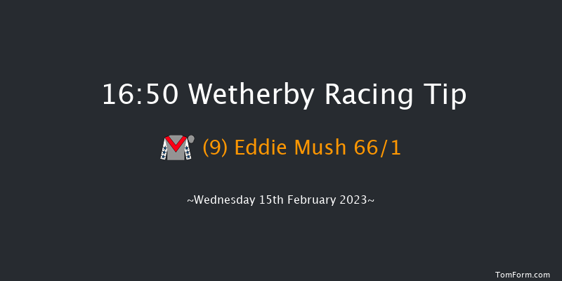 Wetherby 16:50 Handicap Hurdle (Class 5) 20f Sat 4th Feb 2023