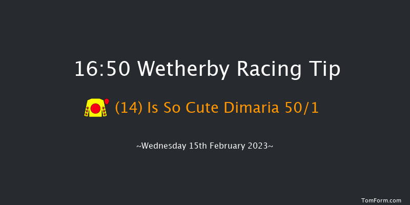 Wetherby 16:50 Handicap Hurdle (Class 5) 20f Sat 4th Feb 2023