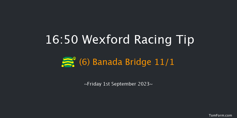 Wexford 16:50 Handicap Hurdle 16f Fri 11th Aug 2023