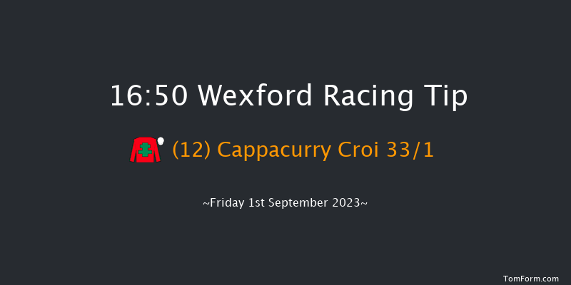 Wexford 16:50 Handicap Hurdle 16f Fri 11th Aug 2023