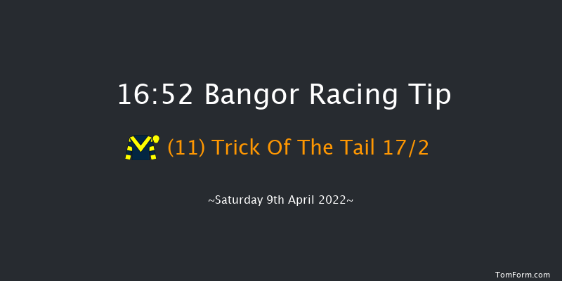 Bangor 16:52 NH Flat Race (Class 5) 17f Sun 13th Mar 2022