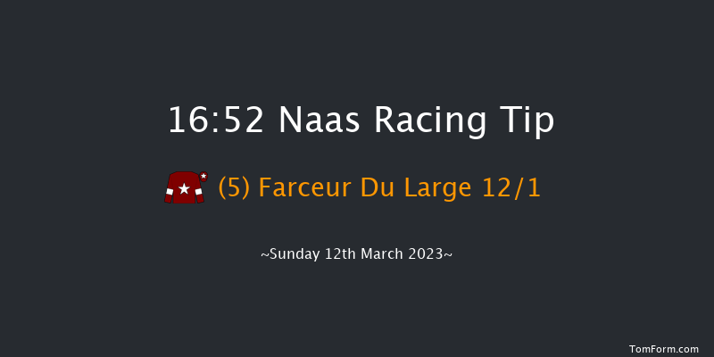 Naas 16:52 Handicap Chase 25f Sun 26th Feb 2023