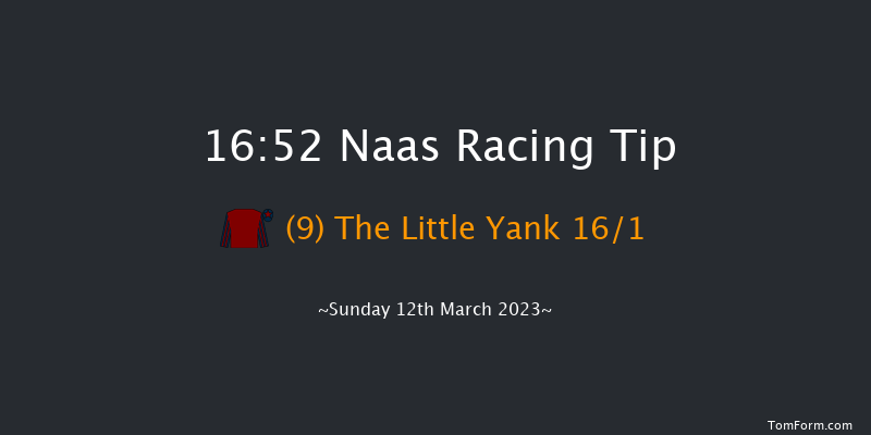 Naas 16:52 Handicap Chase 25f Sun 26th Feb 2023