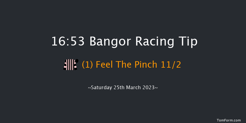 Bangor 16:53 Handicap Hurdle (Class 4) 17f Fri 10th Feb 2023