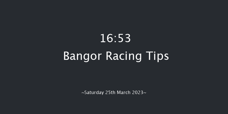 Bangor 16:53 Handicap Hurdle (Class 4) 17f Fri 10th Feb 2023