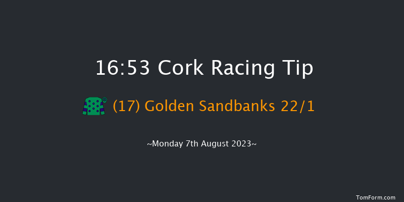 Cork 16:53 Handicap Hurdle 19f Fri 28th Jul 2023