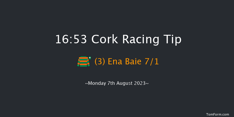 Cork 16:53 Handicap Hurdle 19f Fri 28th Jul 2023