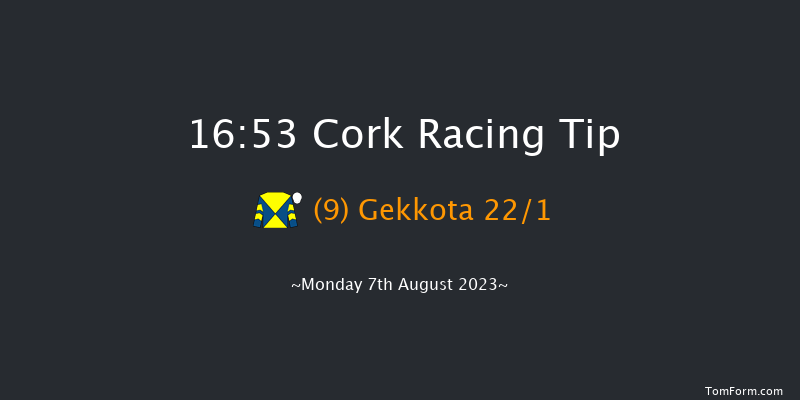Cork 16:53 Handicap Hurdle 19f Fri 28th Jul 2023