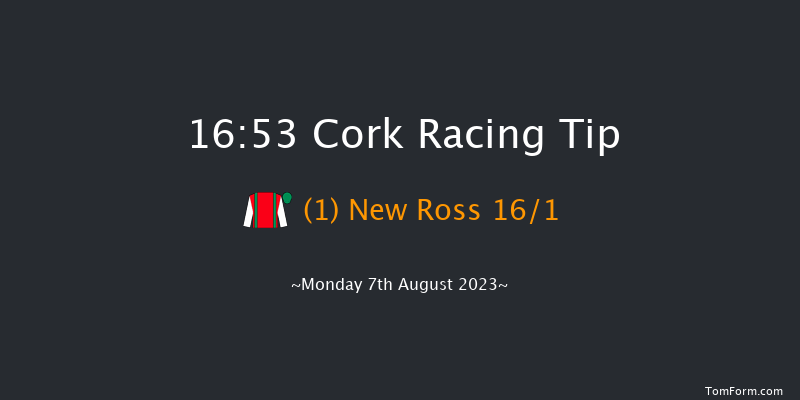 Cork 16:53 Handicap Hurdle 19f Fri 28th Jul 2023