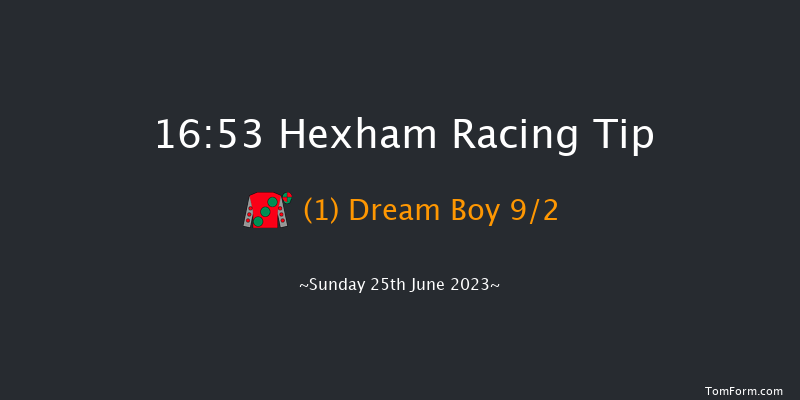 Hexham 16:53 NH Flat Race (Class 5) 16f Sat 17th Jun 2023