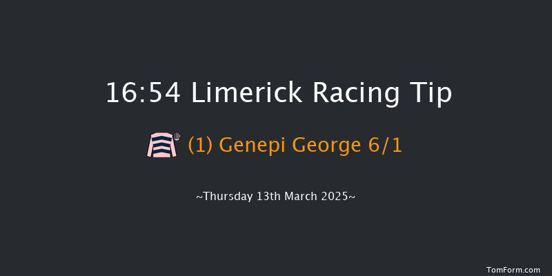Limerick  16:54 NH Flat Race 16f Tue 28th Jan 2025