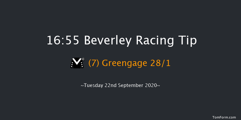 Brian And Jason Merrington Memorial Handicap Beverley 16:55 Handicap (Class 6) 10f Wed 16th Sep 2020