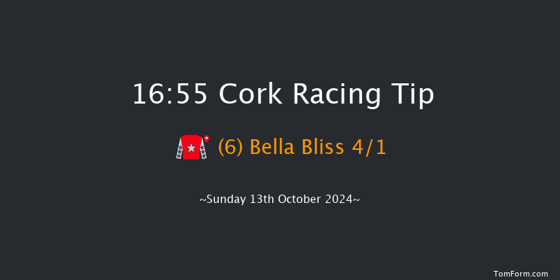Cork  16:55 Handicap Chase 24f Tue 1st Oct 2024