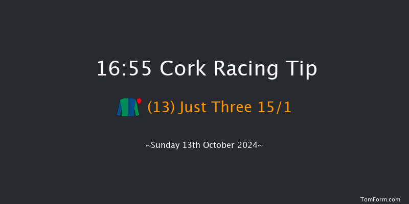 Cork  16:55 Handicap Chase 24f Tue 1st Oct 2024