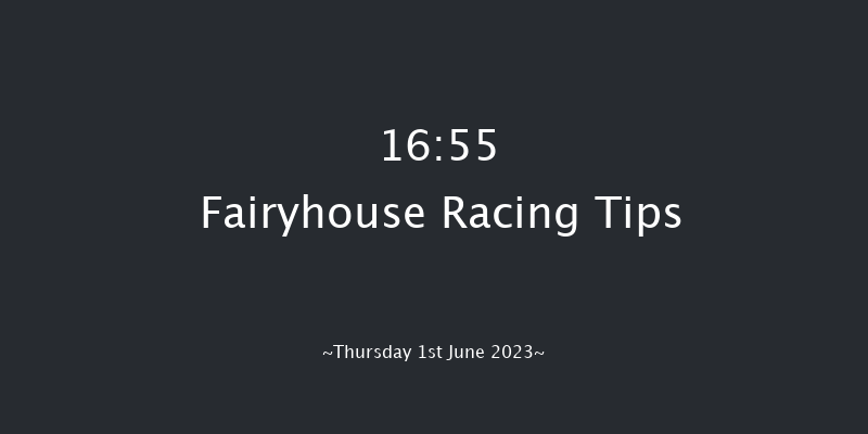 Fairyhouse 16:55 Handicap 10f Mon 10th Apr 2023