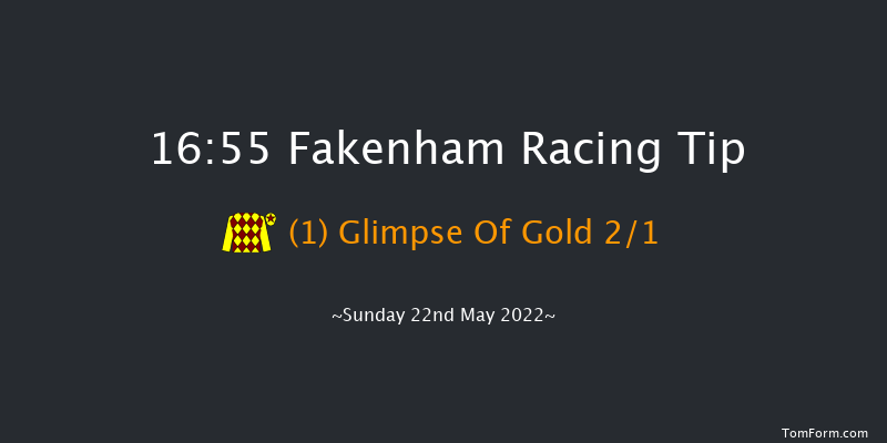 Fakenham 16:55 Handicap Hurdle (Class 4) 16f Tue 3rd May 2022