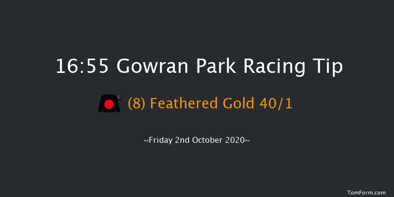 Race Displays Handicap Hurdle (80-102) Gowran Park 16:55 Handicap Hurdle 20f Sat 19th Sep 2020
