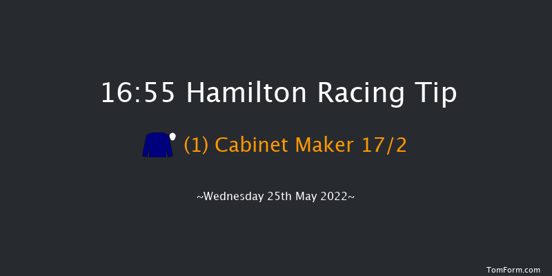 Hamilton 16:55 Handicap (Class 6) 9f Fri 13th May 2022