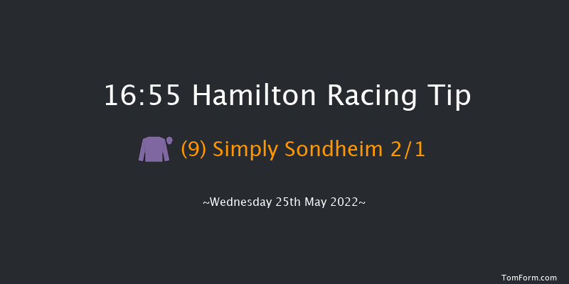 Hamilton 16:55 Handicap (Class 6) 9f Fri 13th May 2022