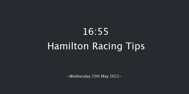 Hamilton 16:55 Handicap (Class 6) 9f Fri 13th May 2022