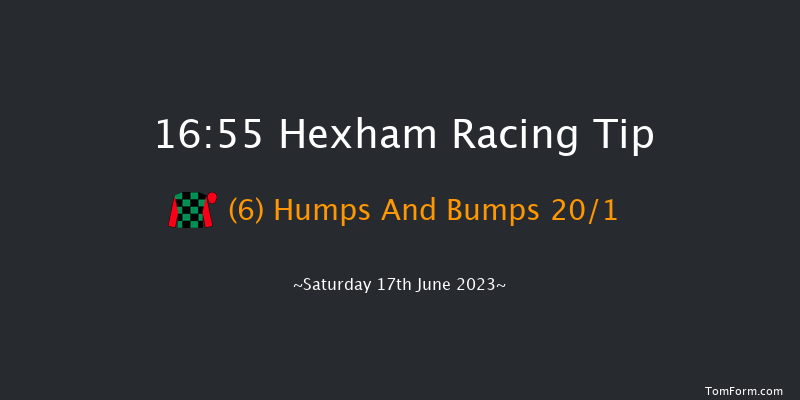 Hexham 16:55 Handicap Chase (Class 5) 24f Sat 3rd Jun 2023