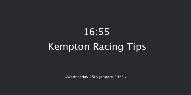 Kempton 16:55 Stakes (Class 6) 11f Thu 19th Jan 2023