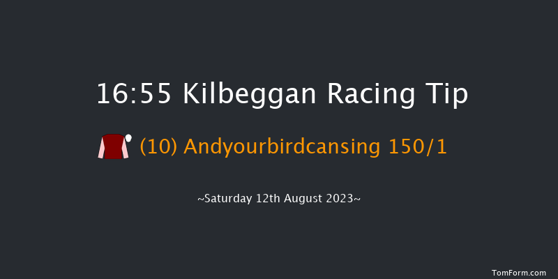 Kilbeggan 16:55 Maiden Hurdle 16f Fri 21st Jul 2023