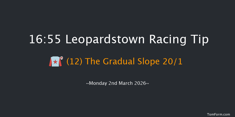 Leopardstown 16-55 28f Mon 2nd Feb 2026