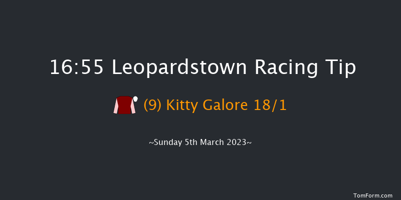 Leopardstown 16:55 Handicap Chase 21f Sun 5th Feb 2023