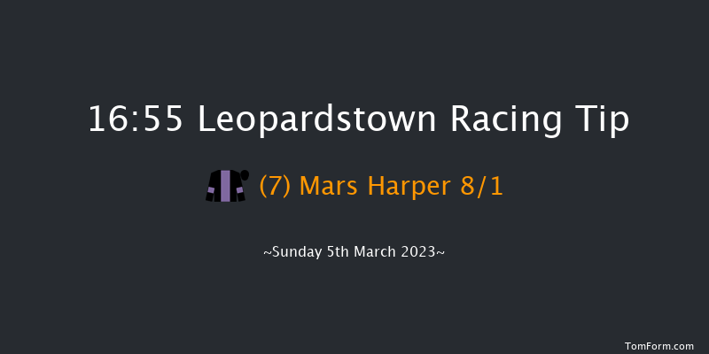Leopardstown 16:55 Handicap Chase 21f Sun 5th Feb 2023