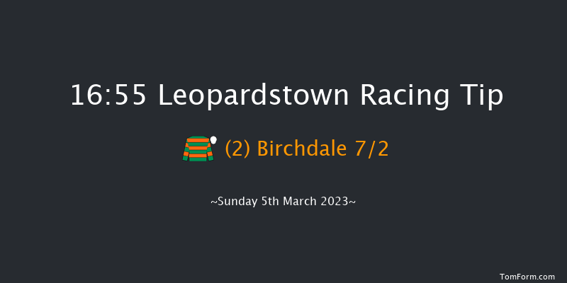 Leopardstown 16:55 Handicap Chase 21f Sun 5th Feb 2023