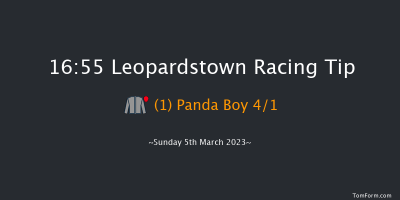 Leopardstown 16:55 Handicap Chase 21f Sun 5th Feb 2023