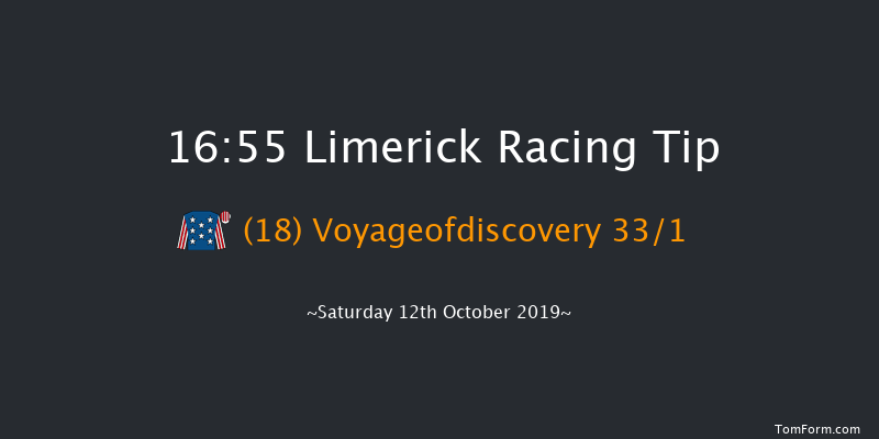 Limerick 16:55 Handicap 7f Sun 7th Jul 2019