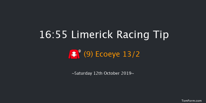 Limerick 16:55 Handicap 7f Sun 7th Jul 2019