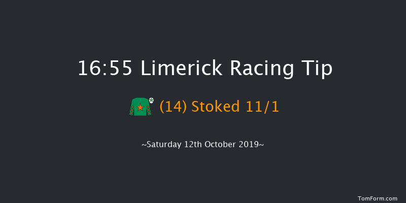 Limerick 16:55 Handicap 7f Sun 7th Jul 2019