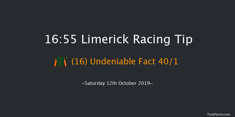 Limerick 16:55 Handicap 7f Sun 7th Jul 2019