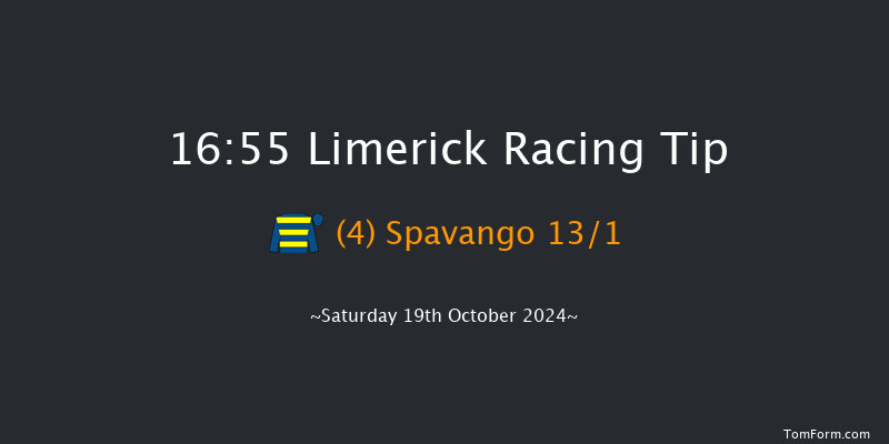 Limerick  16:55 Handicap Hurdle 21f Sun 7th Jul 2024