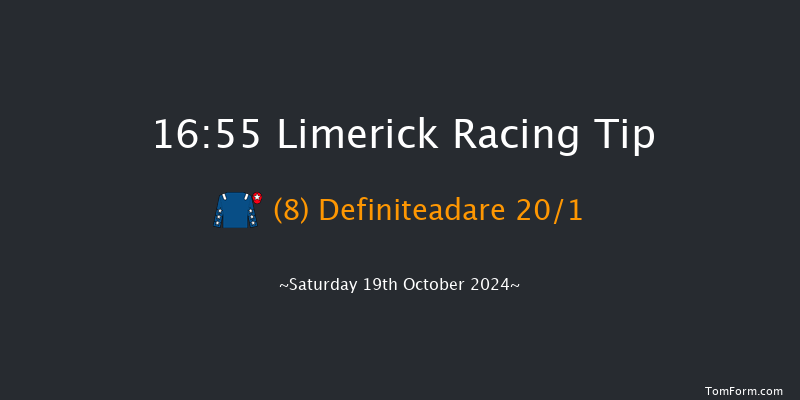 Limerick  16:55 Handicap Hurdle 21f Sun 7th Jul 2024