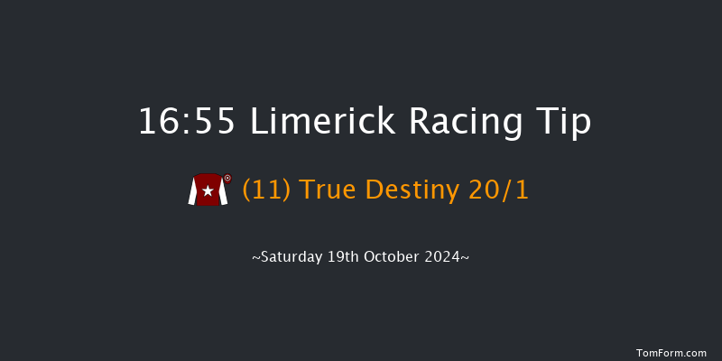 Limerick  16:55 Handicap Hurdle 21f Sun 7th Jul 2024