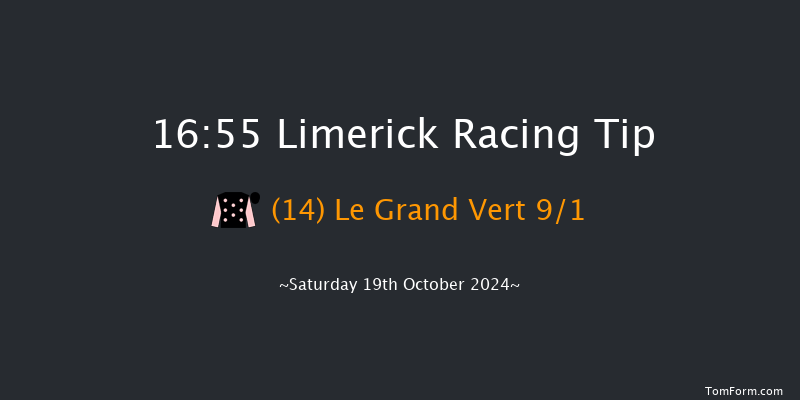 Limerick  16:55 Handicap Hurdle 21f Sun 7th Jul 2024