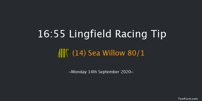 Betway Apprentice Selling Handicap Lingfield 16:55 Handicap (Class 6) 10f Sat 12th Sep 2020