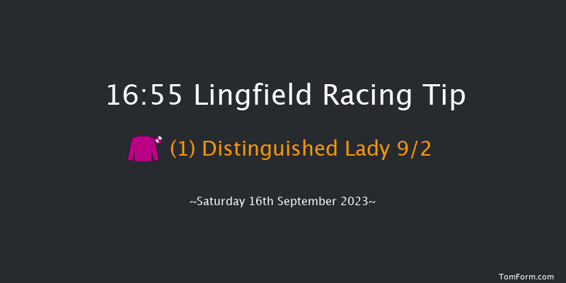 Lingfield 16:55 Handicap (Class 5) 7f Wed 6th Sep 2023