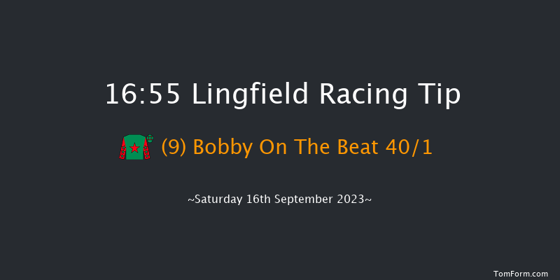 Lingfield 16:55 Handicap (Class 5) 7f Wed 6th Sep 2023