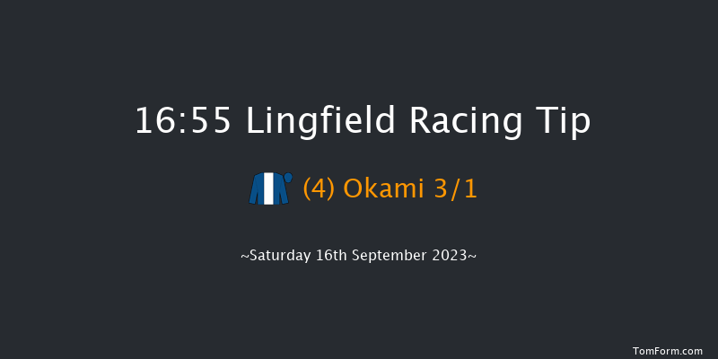 Lingfield 16:55 Handicap (Class 5) 7f Wed 6th Sep 2023