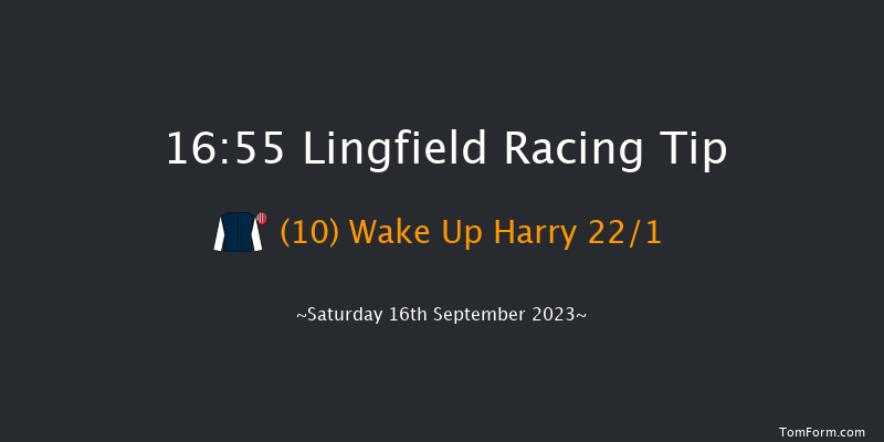 Lingfield 16:55 Handicap (Class 5) 7f Wed 6th Sep 2023